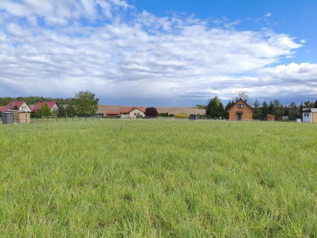 Działka budowlana Szczycionek. Zdjęcie 1