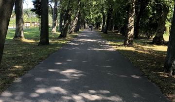 Działka budowlana Oblęgorek, ul. Aleja Lipowa