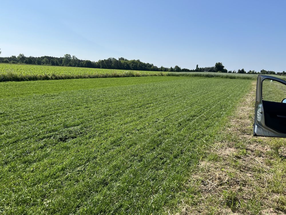 Działka budowlana Popów. Zdjęcie 6