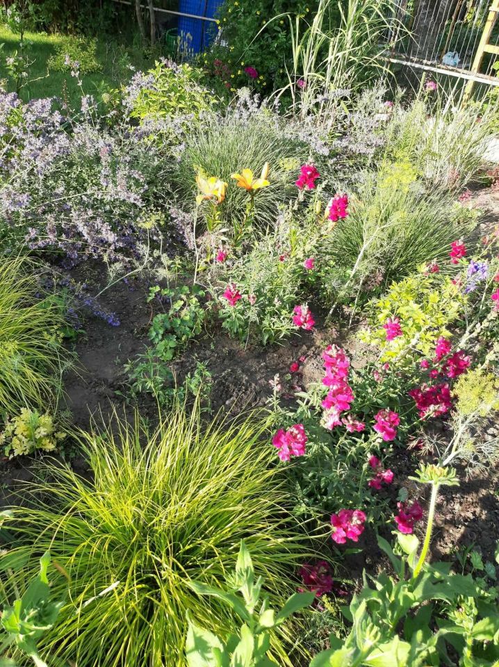 Działka rod Jędrzejów. Zdjęcie 6