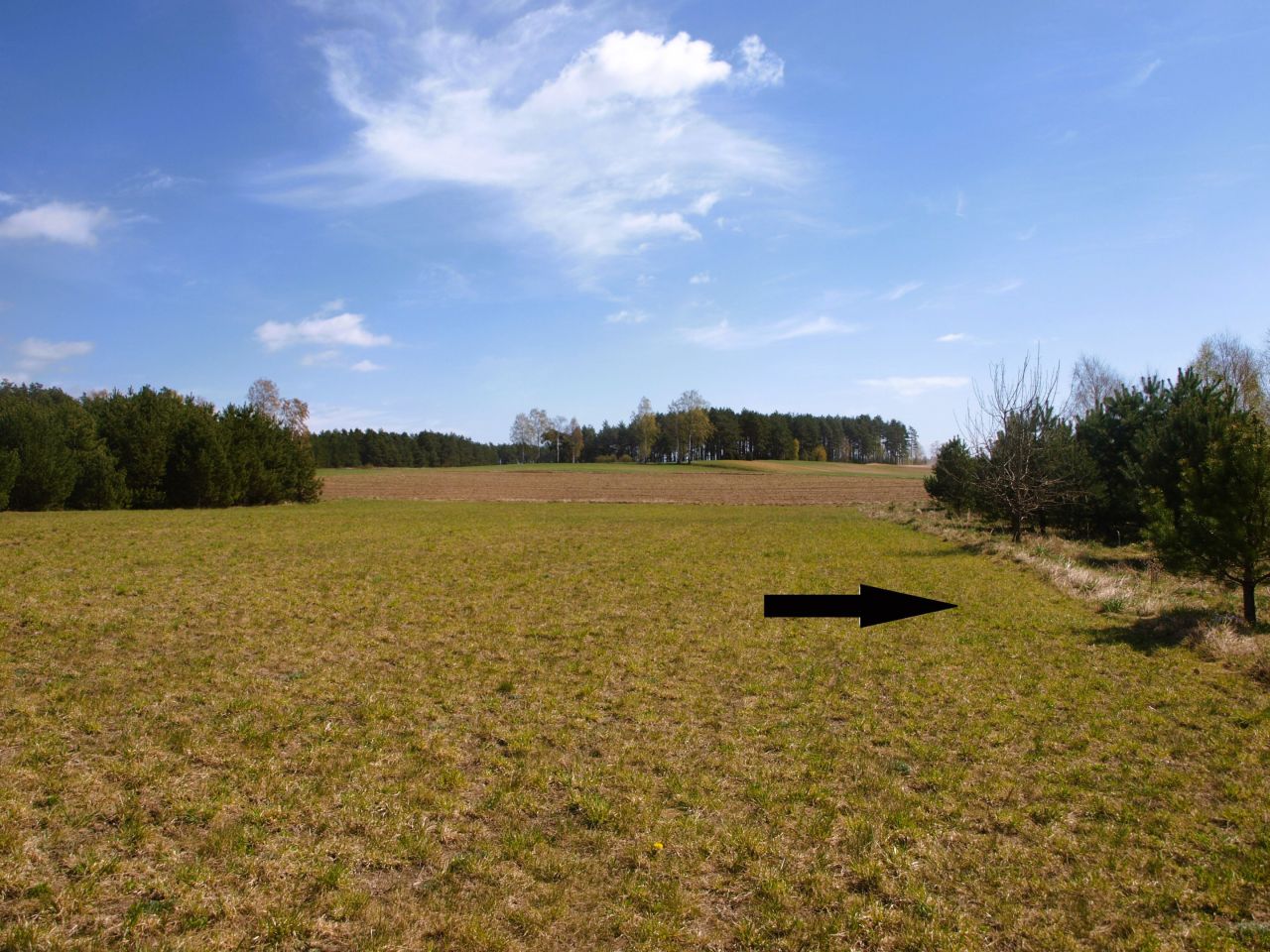 Działka rekreacyjna Lipy. Zdjęcie 14