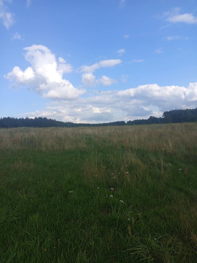Działka rolno-budowlana Czarny Las-Kolonia. Zdjęcie 3