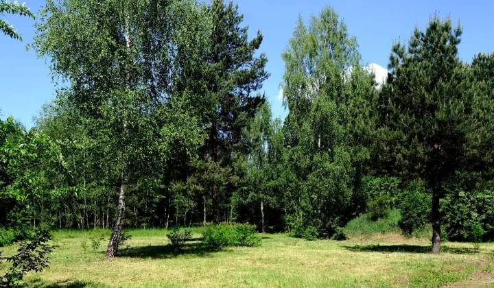 Działka budowlana Częstochowa Mirów, ul. Hektarowa