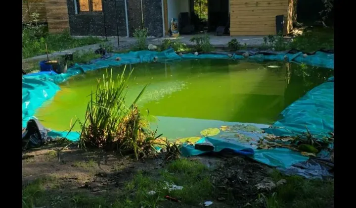 Działka rod Toruń