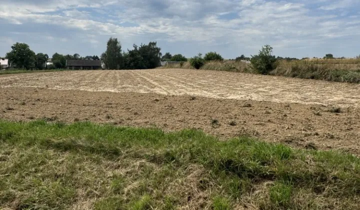 Działka budowlana Wiewiórka