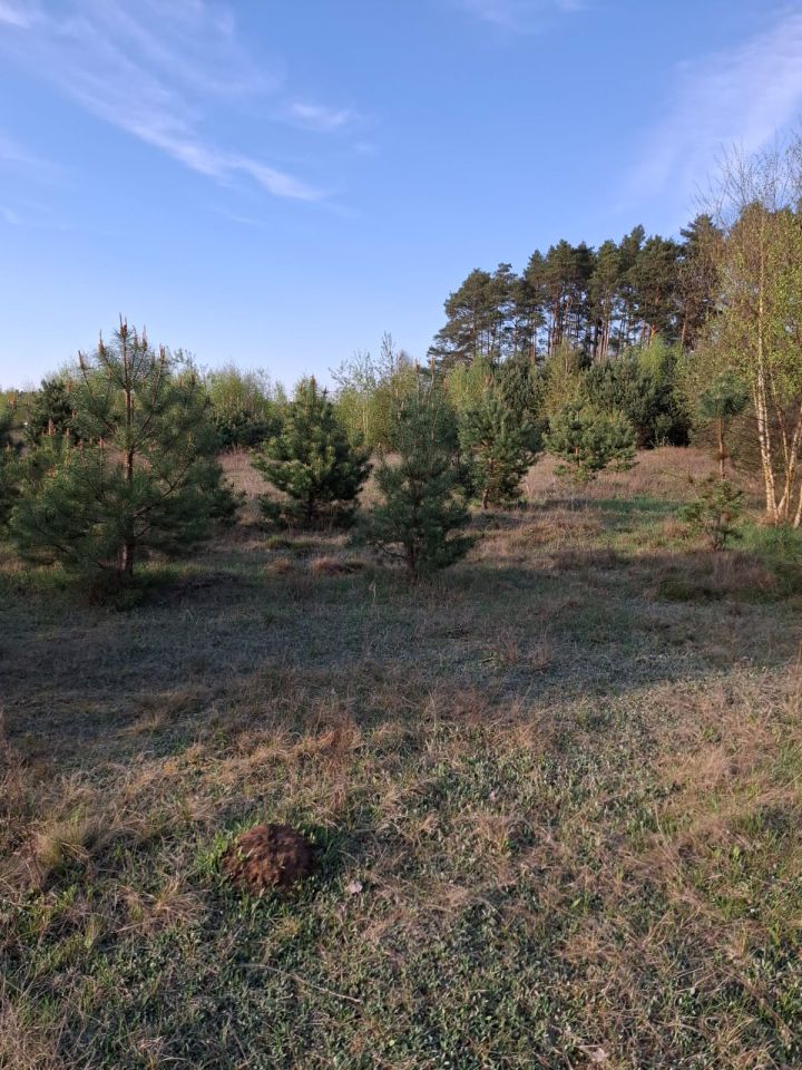 Działka budowlana Gorzów Wielkopolski, Brak. Zdjęcie 7