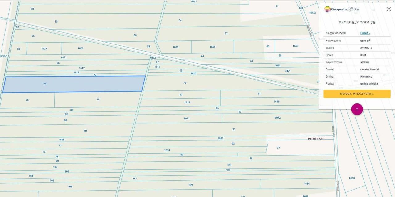 Działka leśna Adamów, ul. Rycerska. Zdjęcie 8