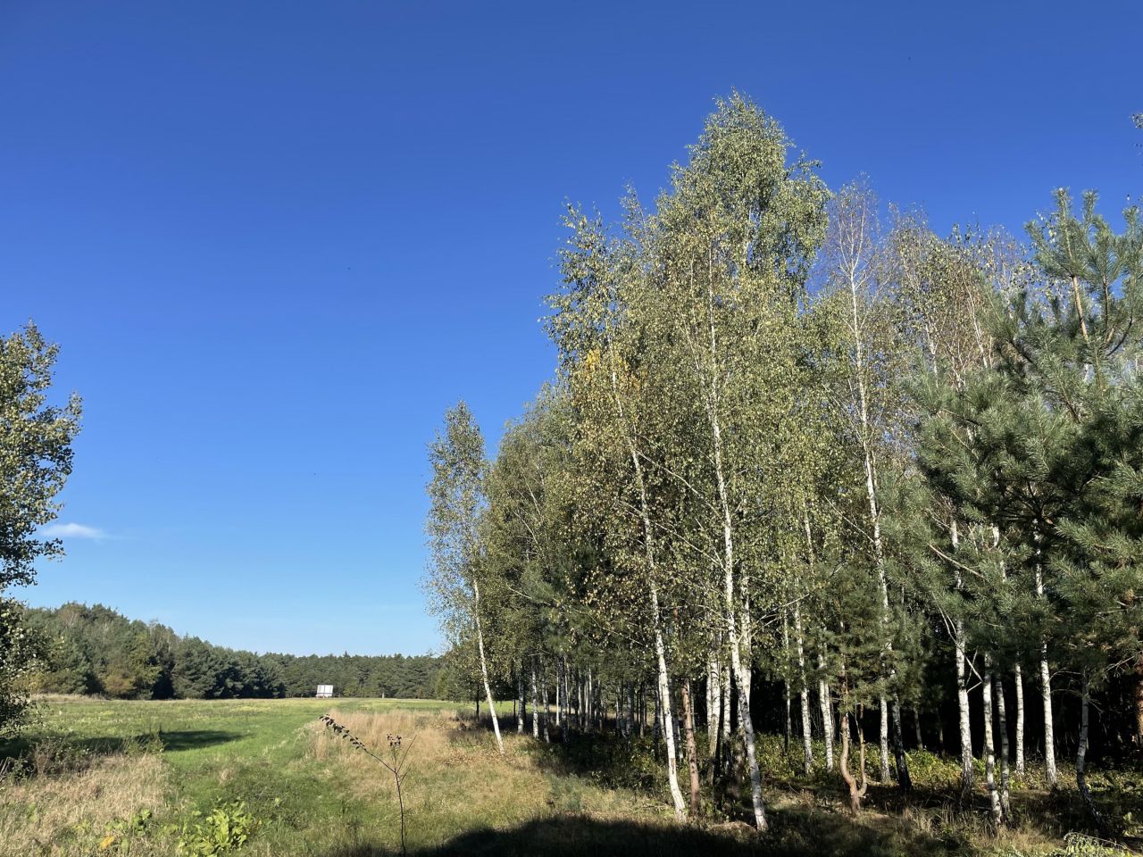 Działka budowlana Włodzimierzów, ul. Polanka. Zdjęcie 6