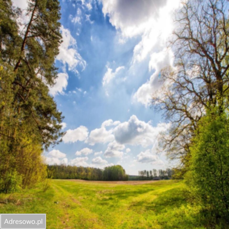 Działka budowlana Ossa. Zdjęcie 4