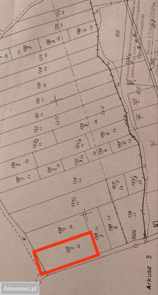 Działka leśna Cieniawa. Zdjęcie 2