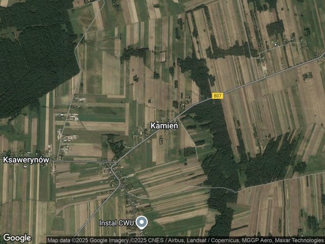 Działka leśna Kamień. Zdjęcie 1