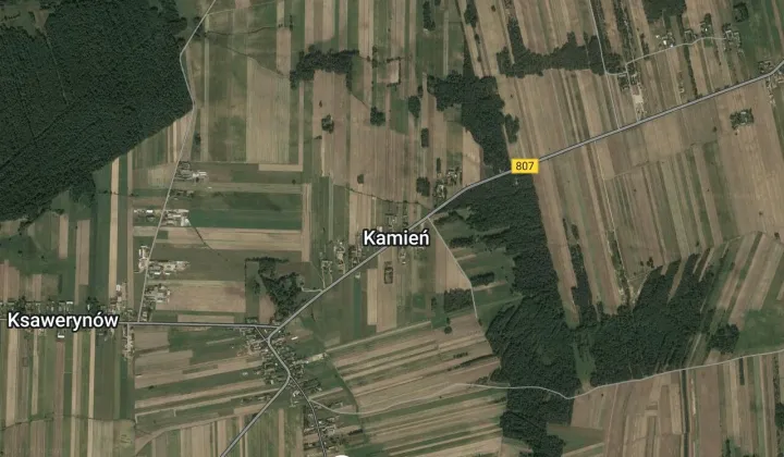 Działka leśna Kamień