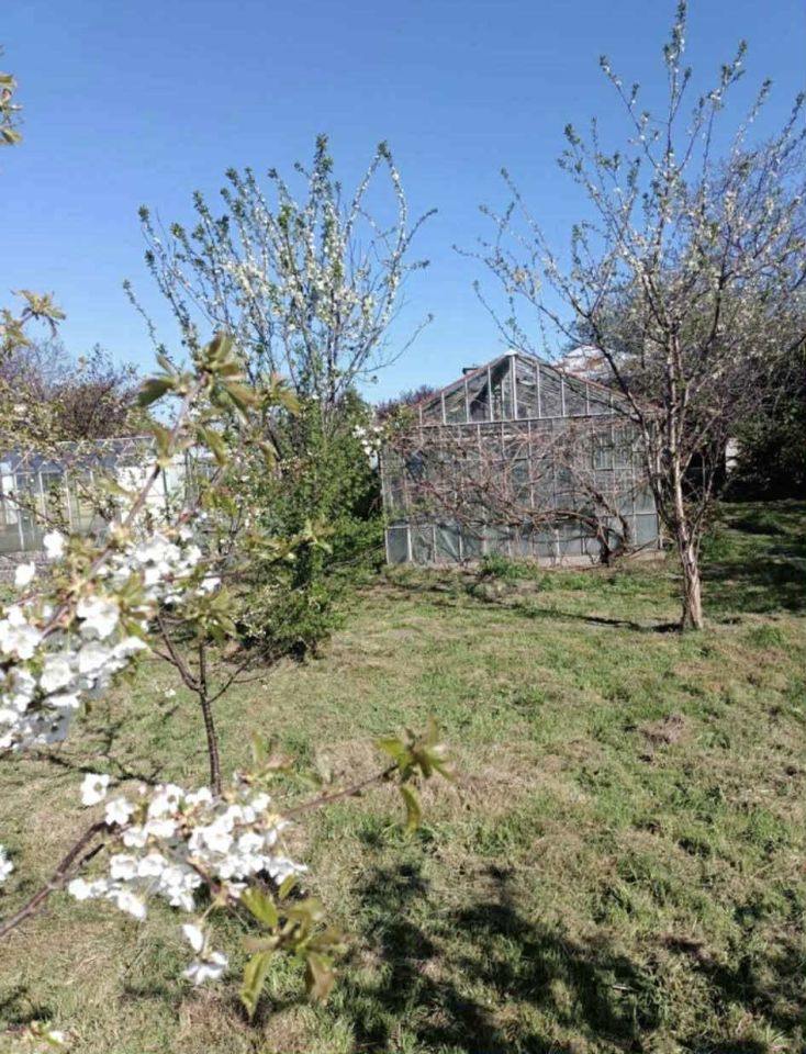 Działka rod Elbląg, ul. Malborska. Zdjęcie 4