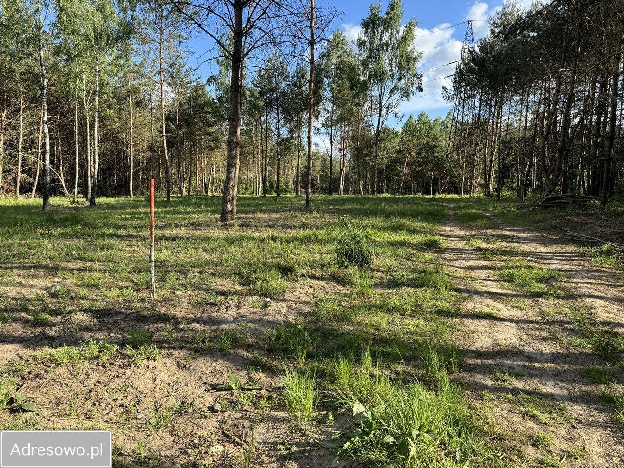 Działka Gójszcz. Zdjęcie 7