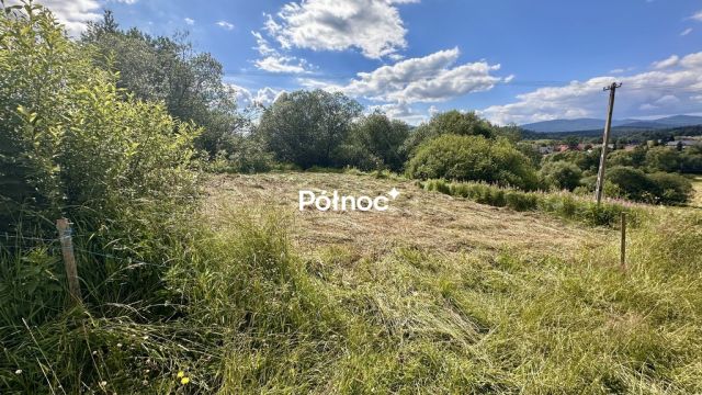Działka rolno-budowlana Podwilk. Zdjęcie 2