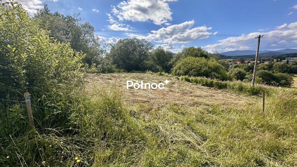 Działka rolno-budowlana Podwilk. Zdjęcie 2