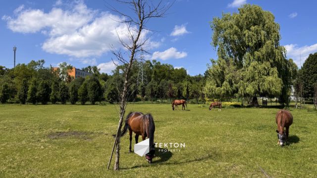 Mieszkanie 3-pokojowe Sosnowiec, ul. Jagiellońska. Zdjęcie 17