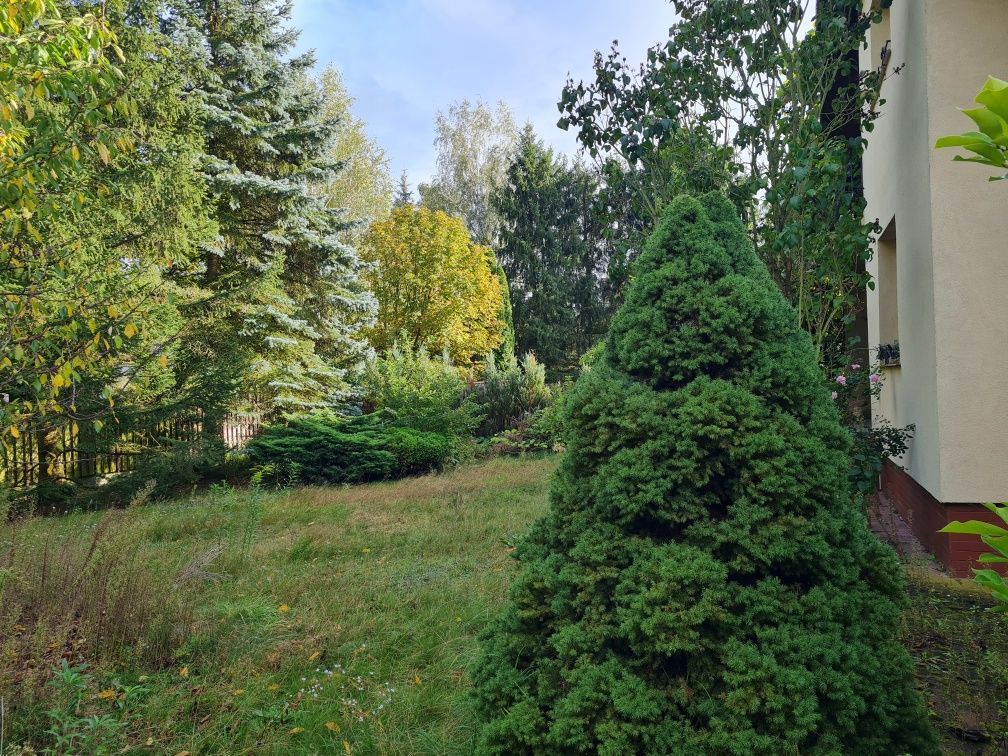 Zdjęcie 3