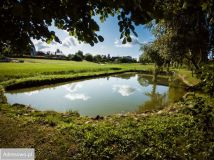 Działka budowlana Przęsocin, ul. Zielone Wzgórze. Zdjęcie 1