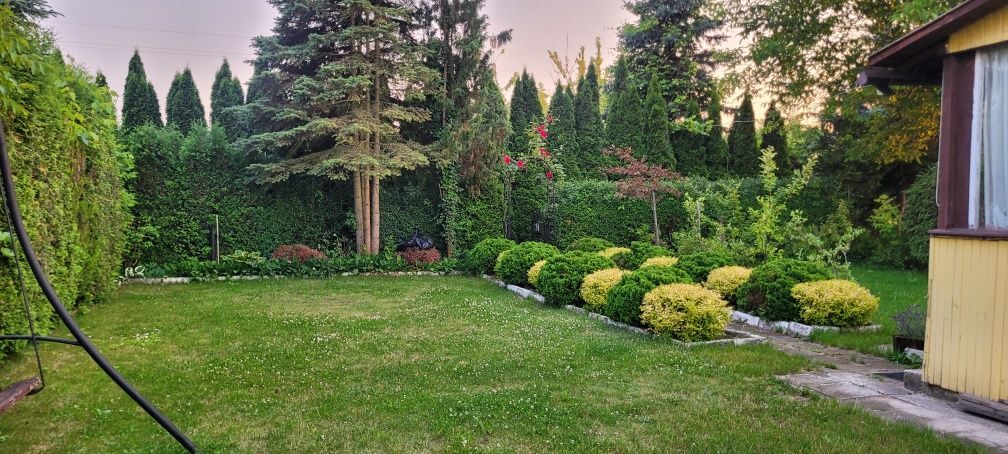 Działka rod Siedlce. Zdjęcie 2