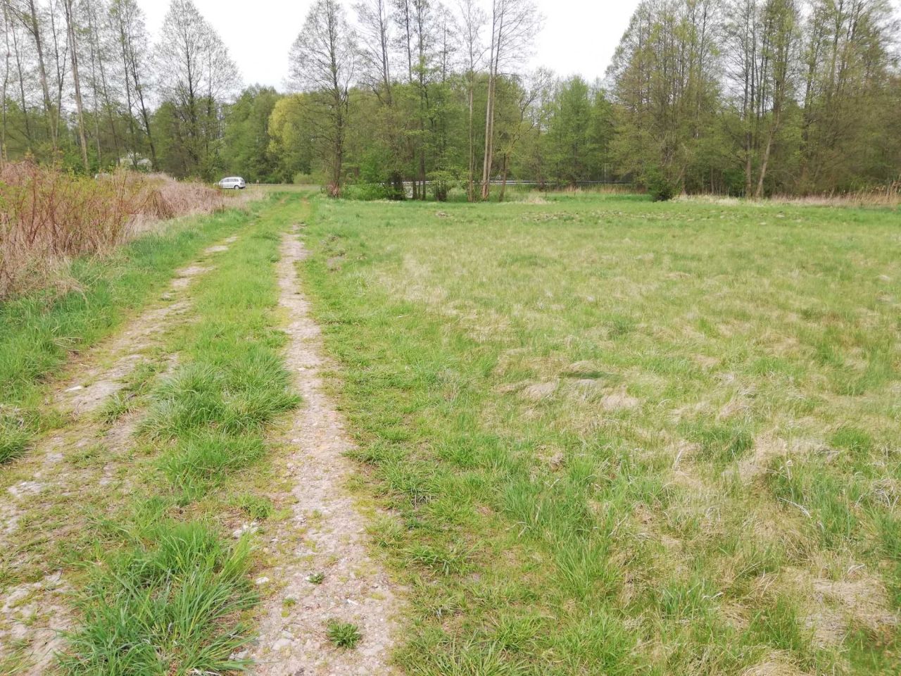 Działka rolna Jastrzębsko Stare. Zdjęcie 4