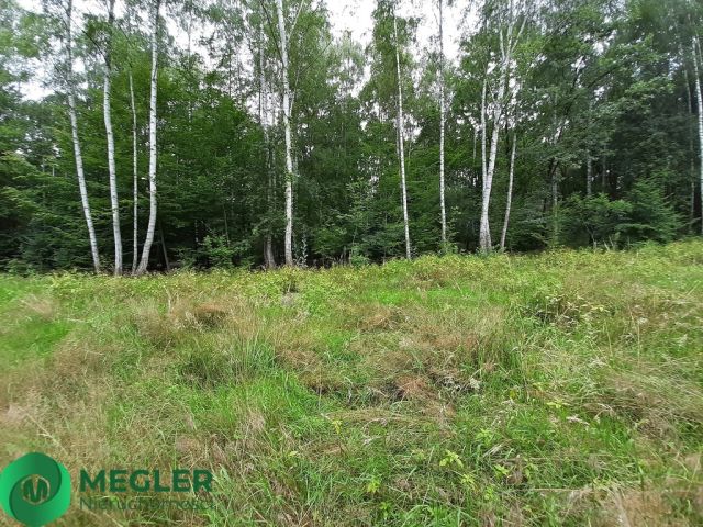 Działka budowlana Podkowa Leśna. Zdjęcie 10