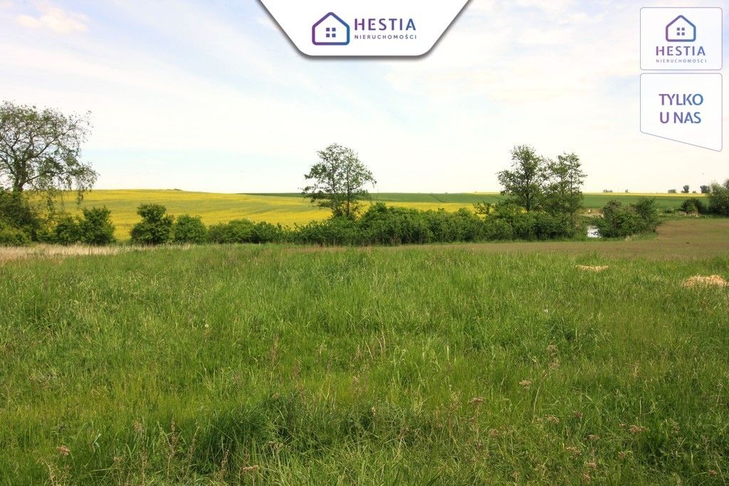 Hala/magazyn Kurcewo. Zdjęcie 4