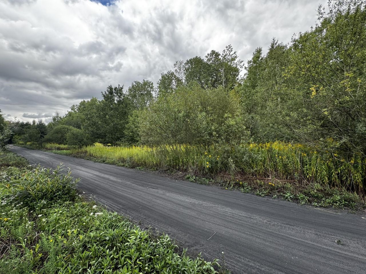 Działka budowlana Nowy Prażmów, ul. Akacjowa. Zdjęcie 8