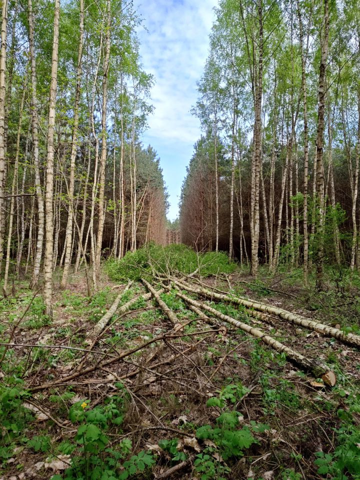 Działka rolna Długie Grodzieckie. Zdjęcie 8