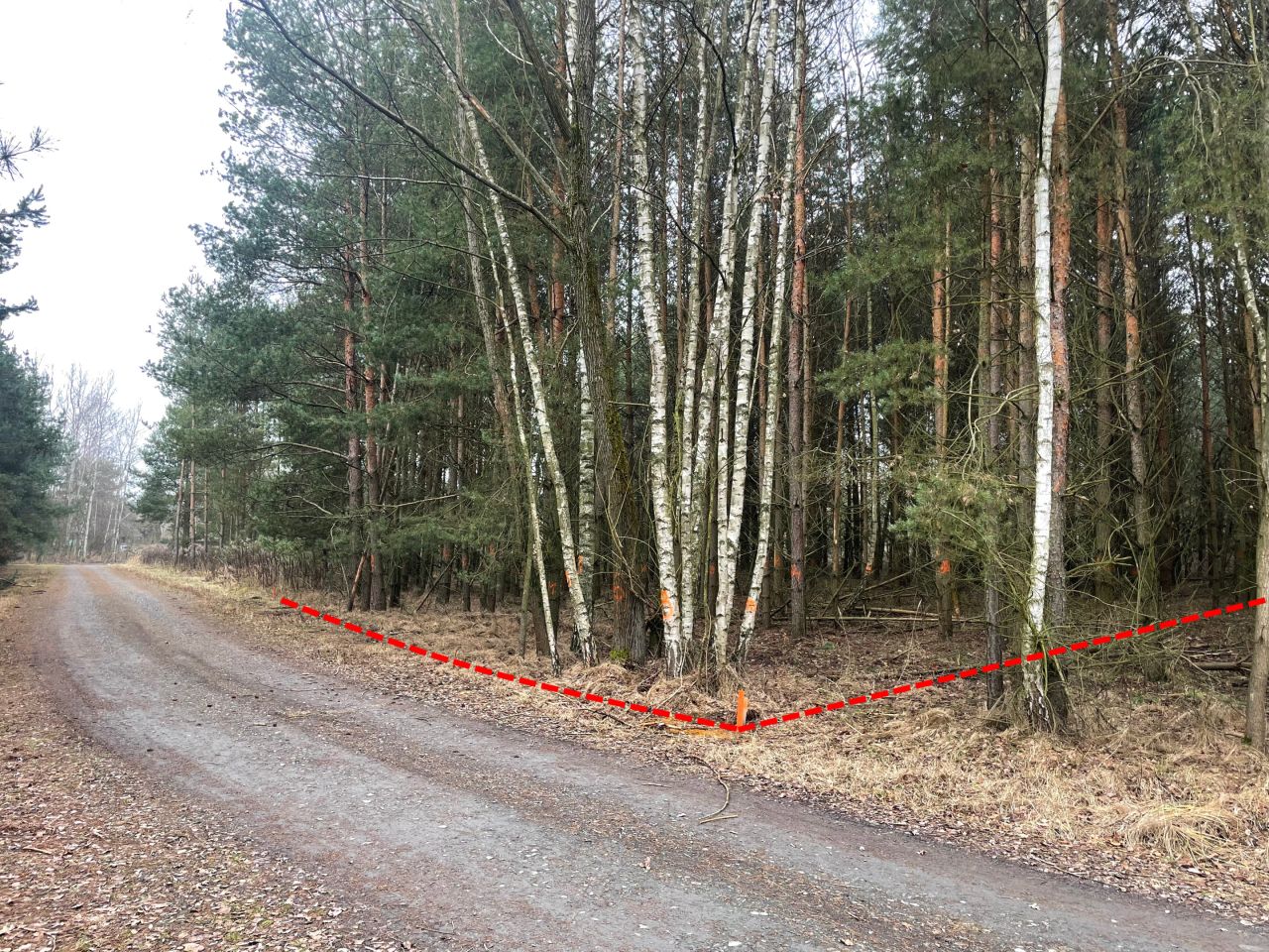 Działka budowlana Orzesze Zgoń, ul. Lisów. Zdjęcie 4