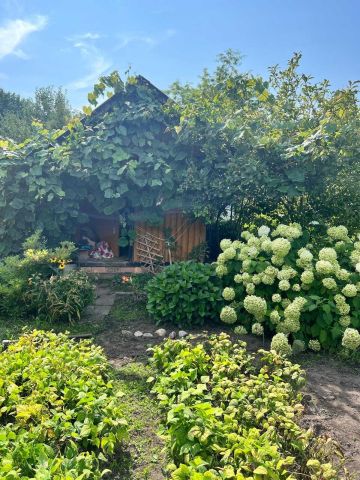 Działka rod Zielona Góra. Zdjęcie 1