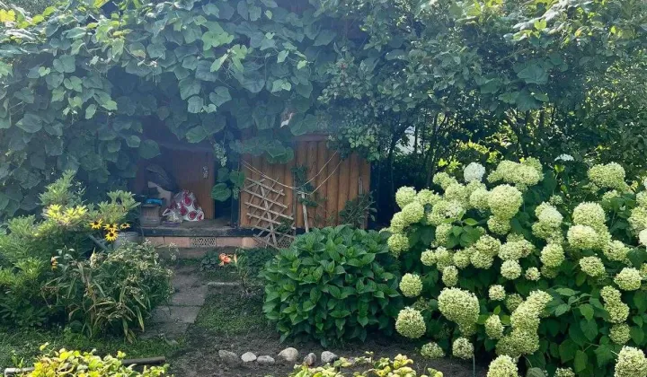 Działka rod Zielona Góra