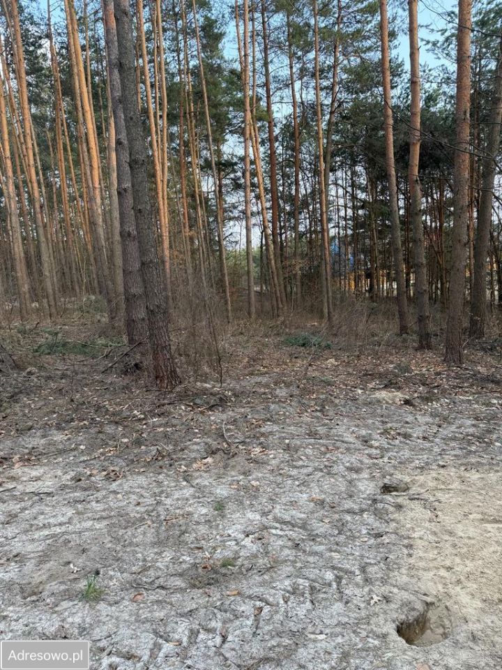 Działka Krasnobród. Zdjęcie 3