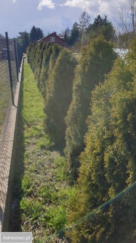 Działka budowlana Żelechów, ul. Józefa Chełmońskiego. Zdjęcie 1