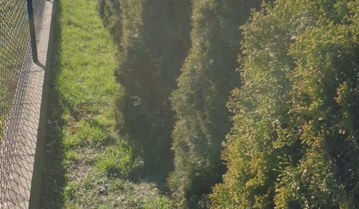 Działka budowlana Żelechów, ul. Józefa Chełmońskiego
