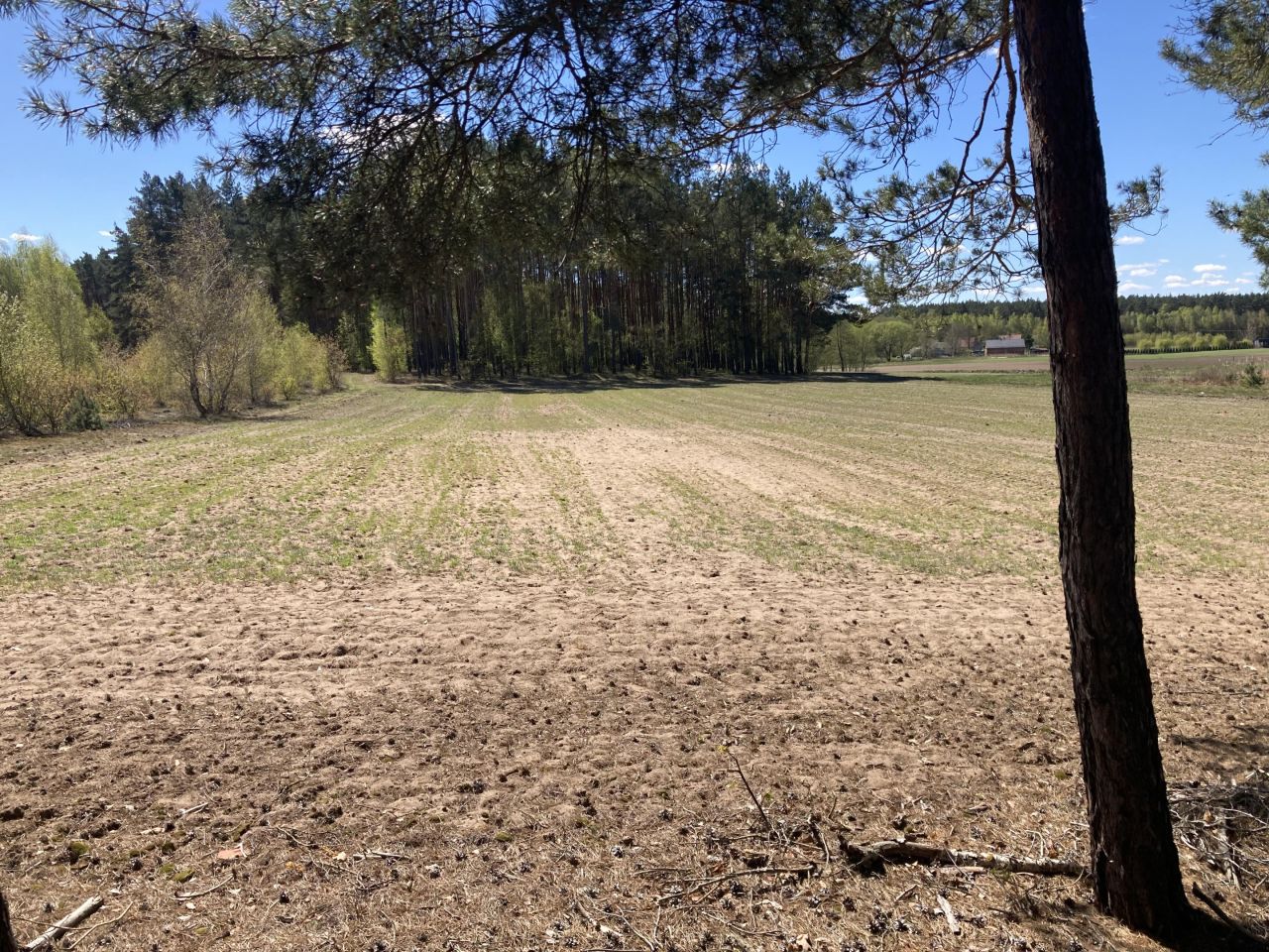 Działka budowlana Jaryszewo. Zdjęcie 5