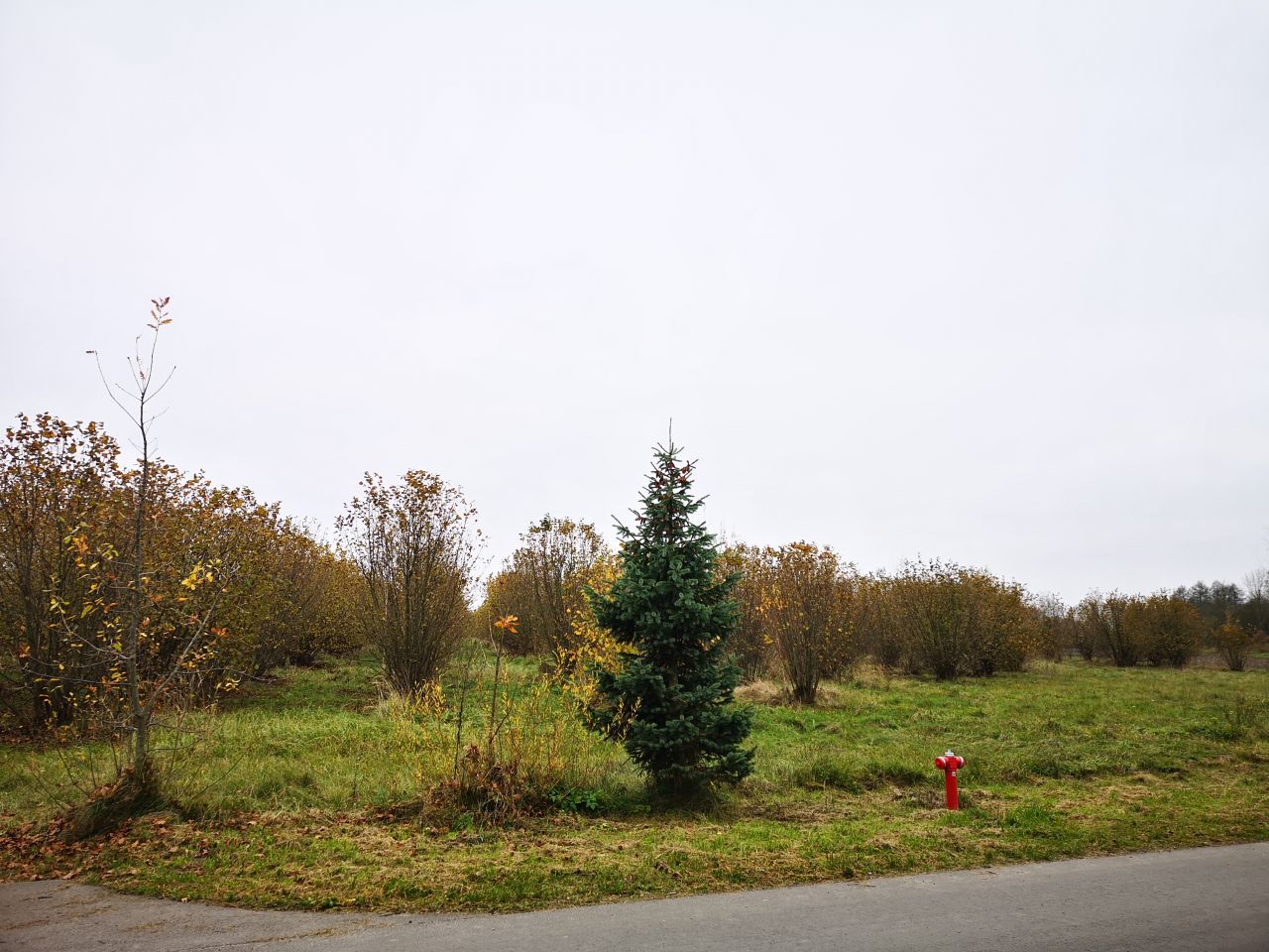 Działka budowlana Dębowiec. Zdjęcie 2