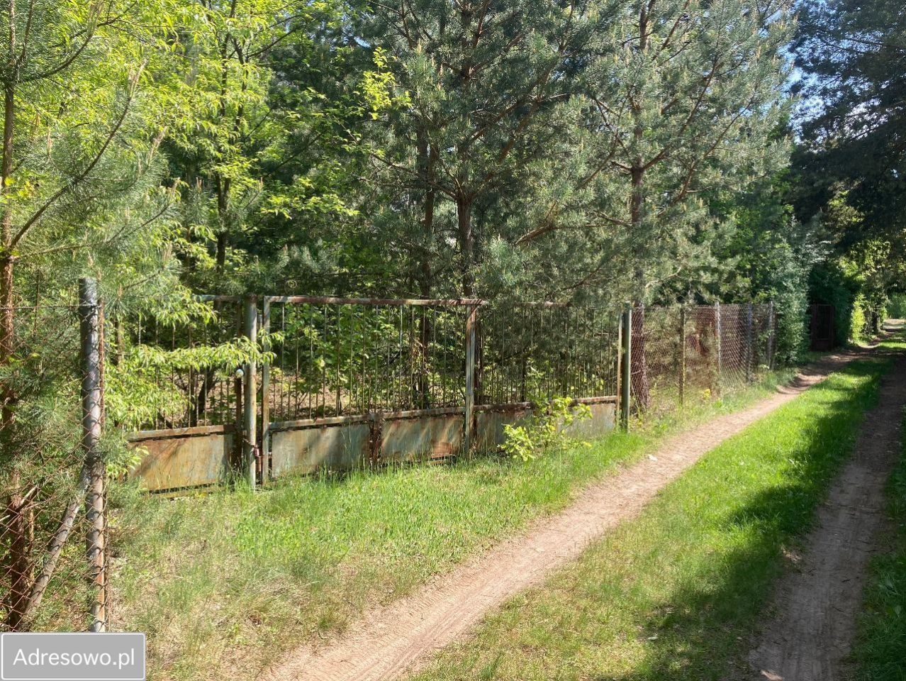 Działka budowlana Stare Załubice. Zdjęcie 1