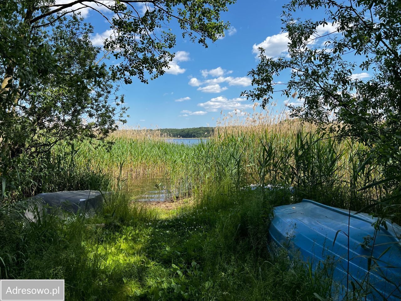 Działka rekreacyjna Rzeczenica