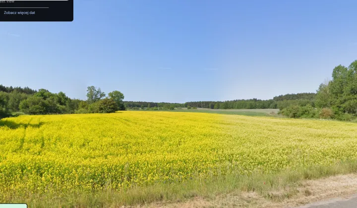 Działka budowlana Drewno