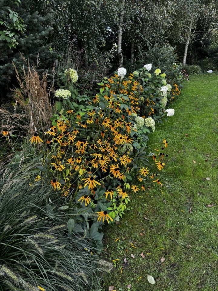 Działka budowlana Górki Wielkie, ul. Szpotawicka. Zdjęcie 6