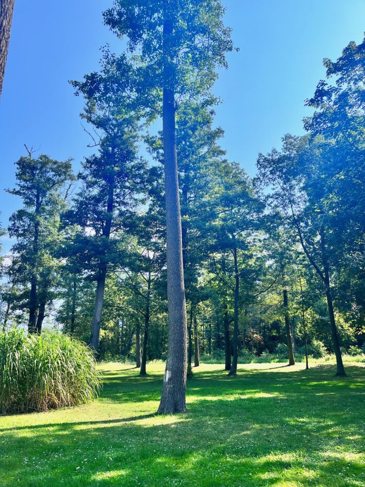 Mieszkanie 3-pokojowe Tolkmicko, ul. Ceramiczna. Zdjęcie 4