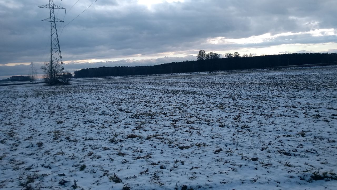 Działka rolna Tarnowiec, dzialka 232. Zdjęcie 3