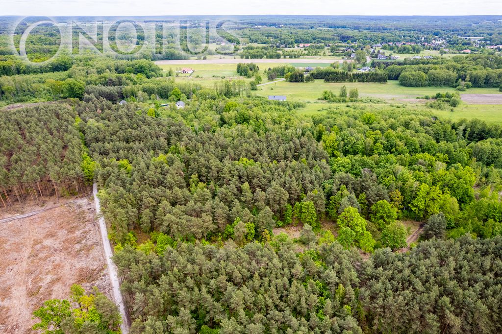 Działka budowlana Radziejowice, ul. Do Lasu. Zdjęcie 8
