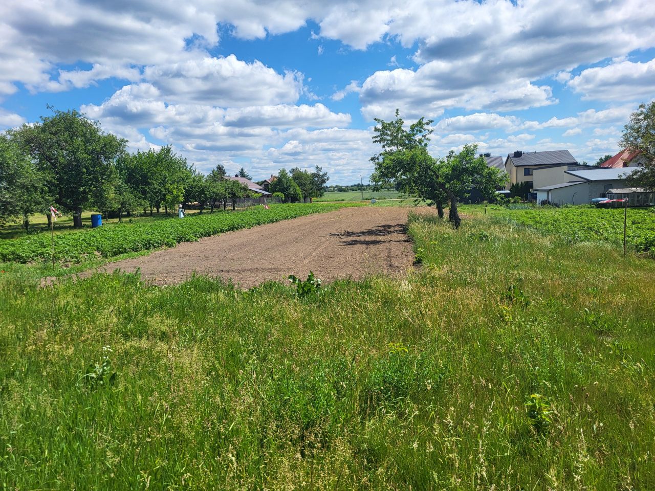 Działka budowlana Gołąb, ul. Pocztowa. Zdjęcie 8