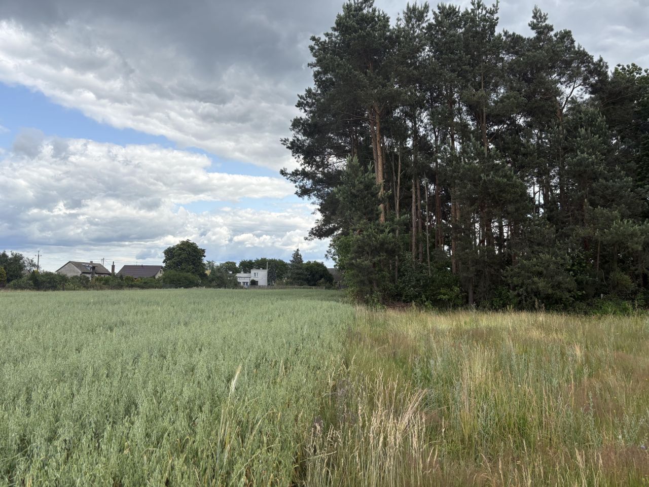 Działka rolno-budowlana Jeziorsko. Zdjęcie 9