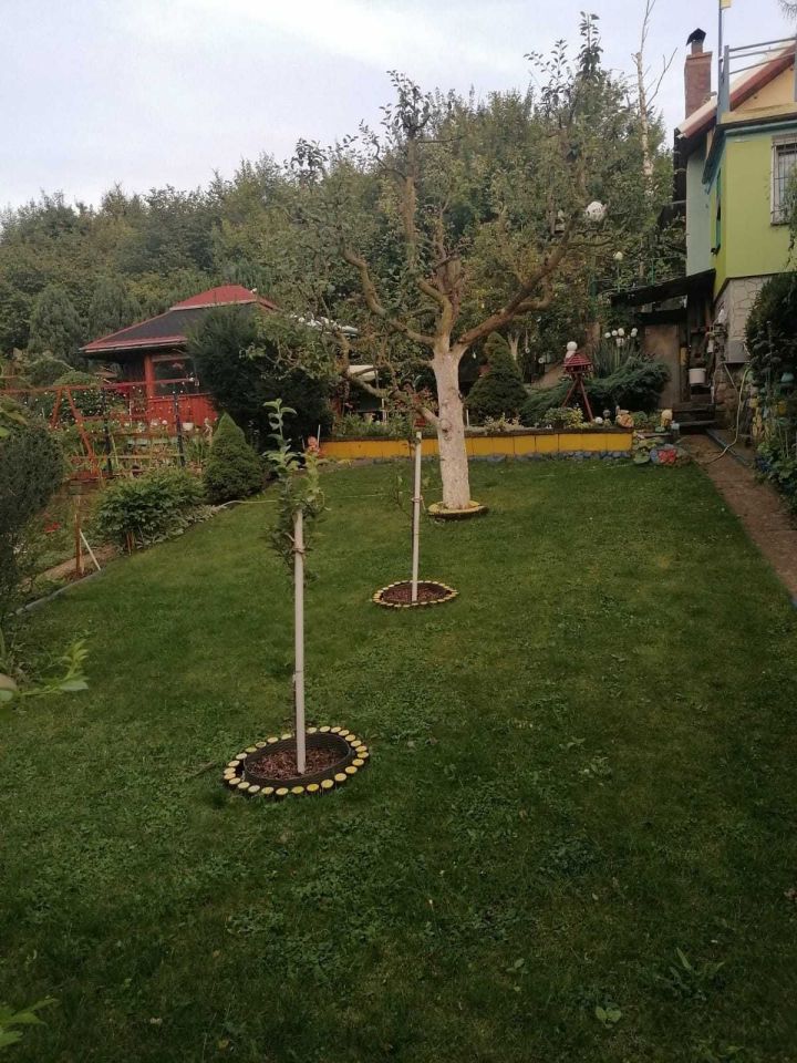 Działka rod Szczecin Podjuchy. Zdjęcie 4