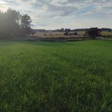 Działka rolno-budowlana Pieski. Zdjęcie 4