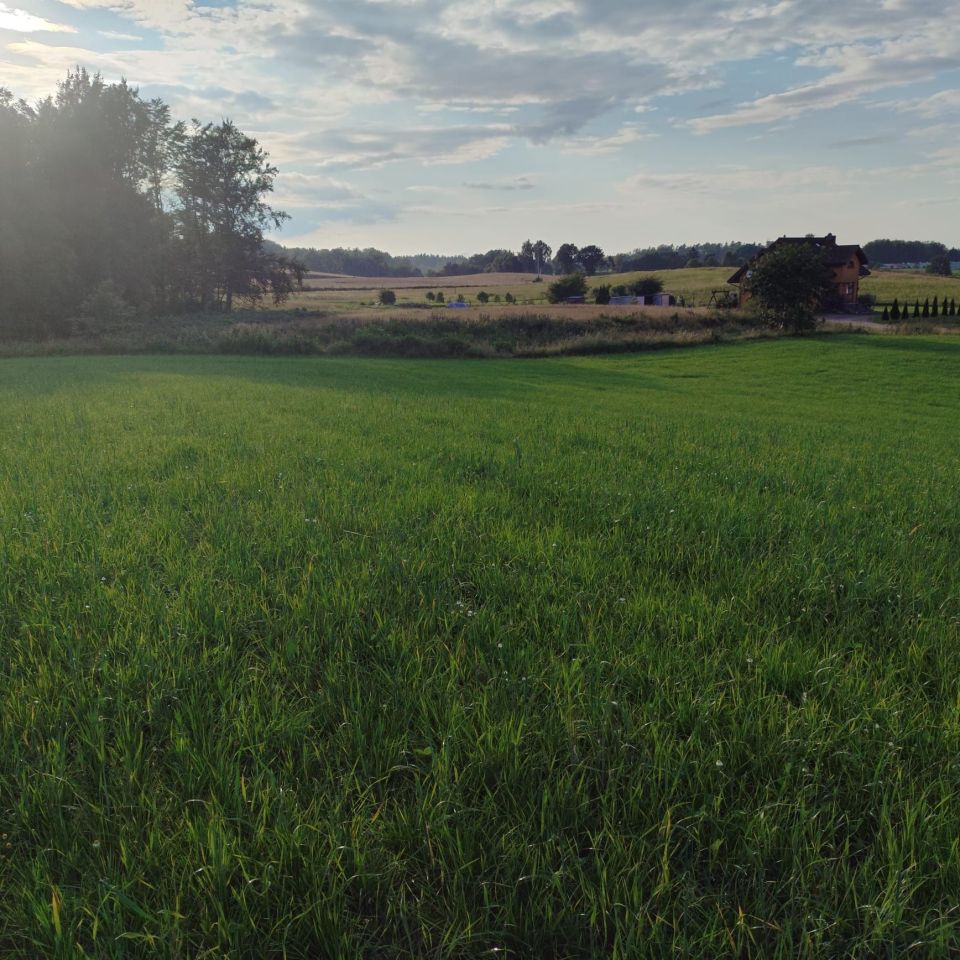 Działka rolno-budowlana Pieski. Zdjęcie 5