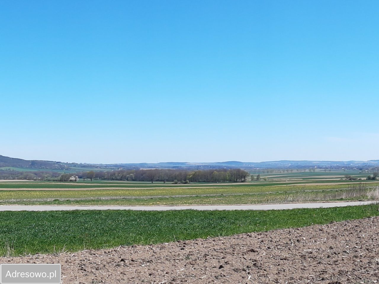 Działka budowlana Jemna. Zdjęcie 13
